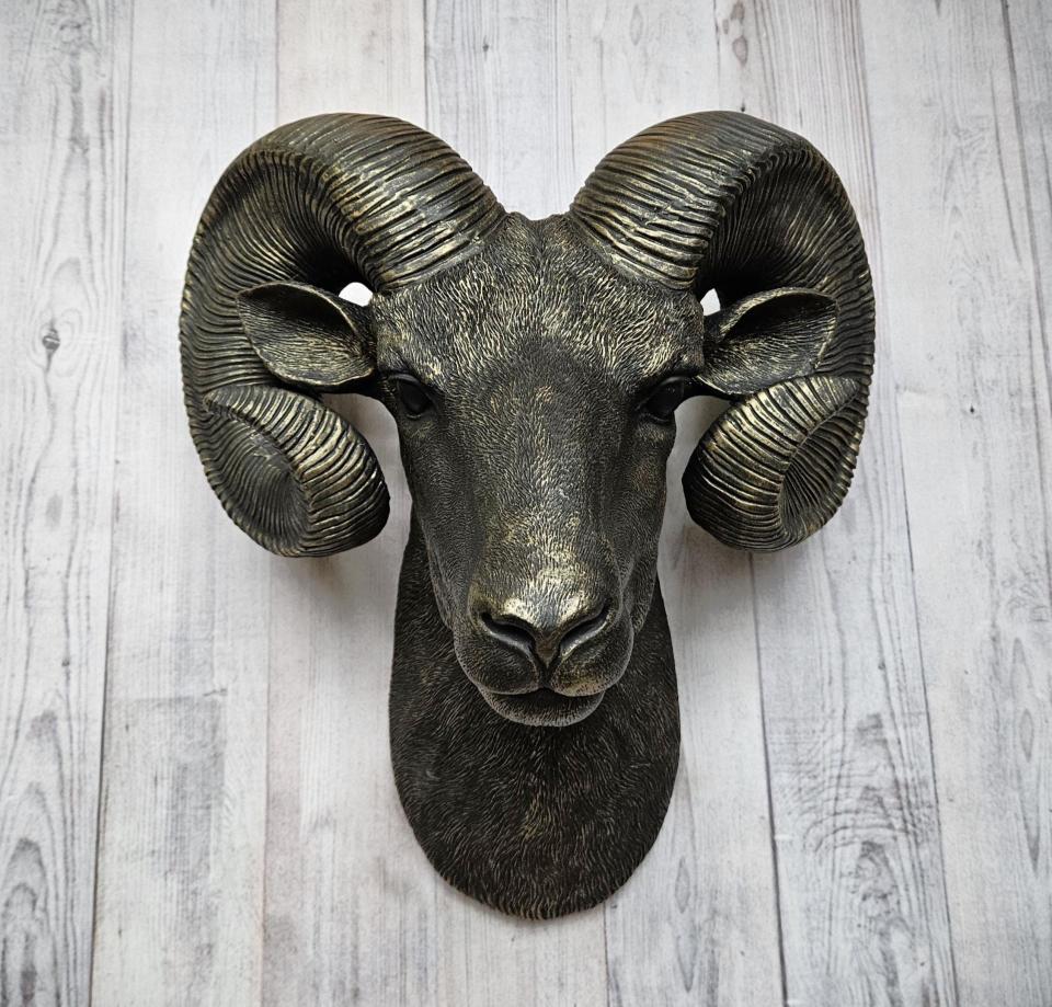 Black faux taxidermy ram head with gold accents.