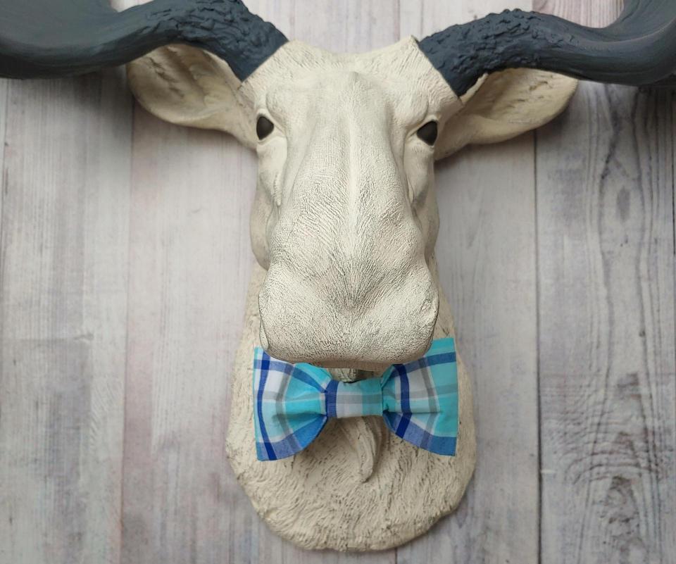 Antique white moose head with slate grey antlers and a blue plaid bow tie