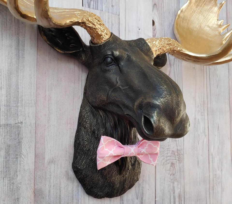 Faux taxidermy moose head, head is painted black with gold accents, antlers painted metallic gold, a pink quatrefoil bow tie accents the neck of the moose
