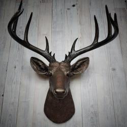 Faux Taxidermy Deer Head, Stag Head Wall Mount, Deer Head Wall Mount