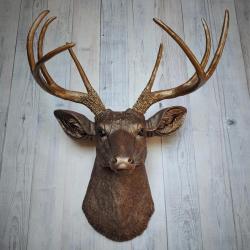Faux taxidermy deer head painted dark copper with antique gold accents and antique gold antlers.